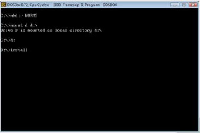 Install the game via DOSBox